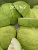午餐--四季水果