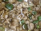 午餐--古都肉燥