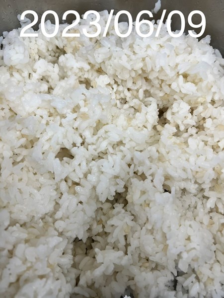 午餐--營養糙米飯