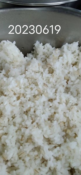 午餐高纖麥片飯