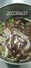 午餐木須肉絲湯
