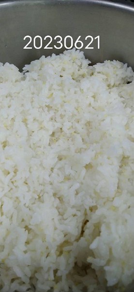 午餐小米飯