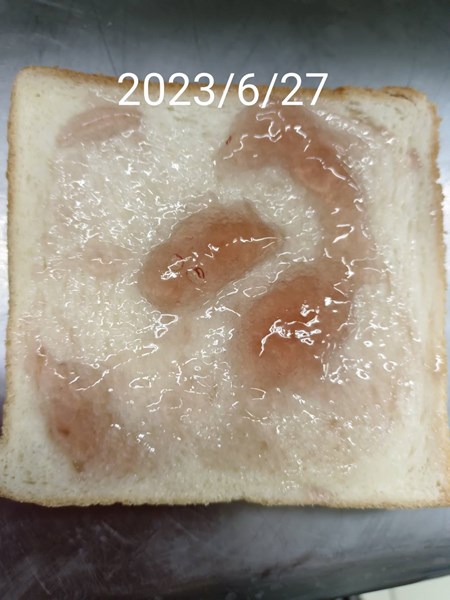 午點--營養吐司