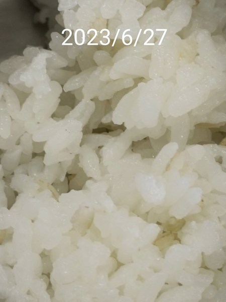 午餐--營養糙米飯