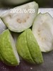 午餐--四季水果