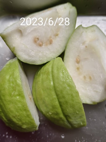 午餐--四季水果