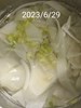 午餐--竹筍雞骨湯