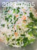 早餐--古都擔仔麵