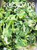 午餐--季節時蔬