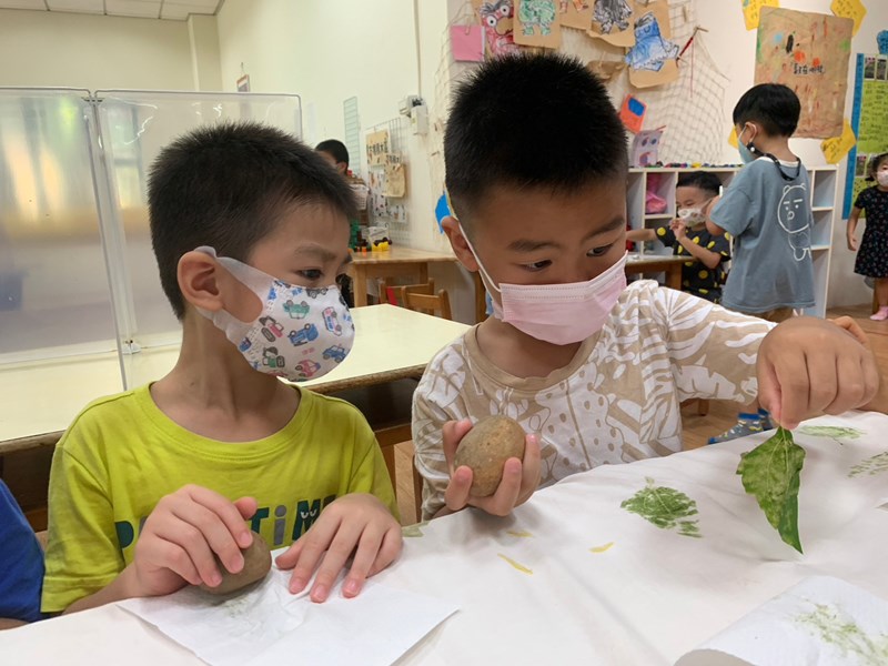 葉子敲染