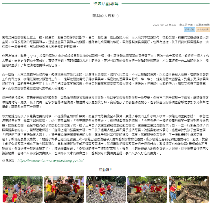 酪梨的大碗點心
